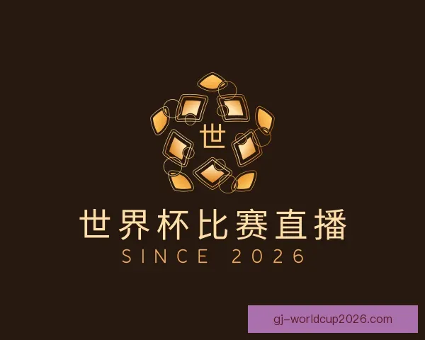 关于世界杯比赛直播